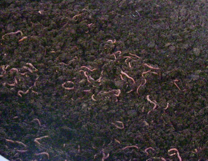  İnsanların kendisiyle dalga geçtiği işte talebe yetişemiyor G3