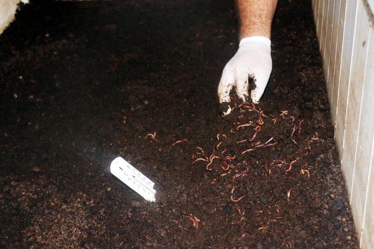  İnsanların kendisiyle dalga geçtiği işte talebe yetişemiyor G4