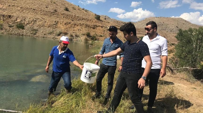Erzincan&rsquo;da balıklandırma &ccedil;alışmaları s&uuml;r&uuml;yor