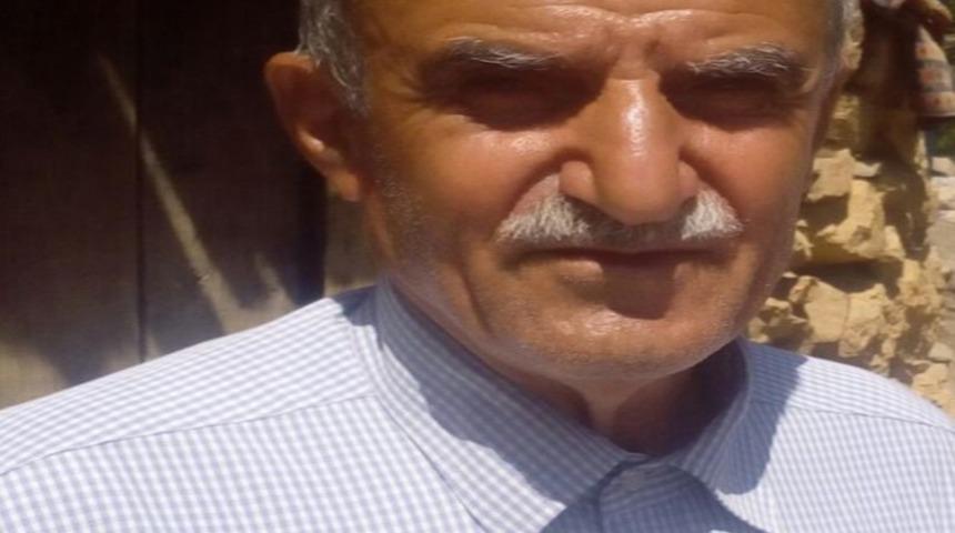 Palamut topladığı ağa&ccedil;tan d&uuml;şerek &ouml;ld&uuml;