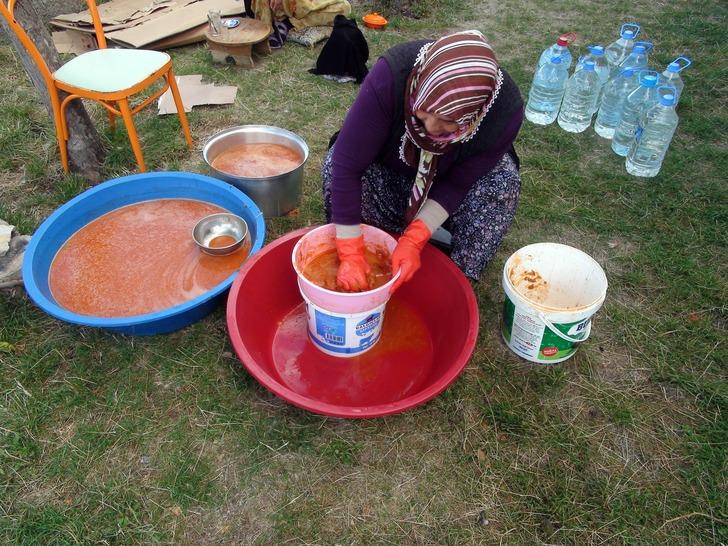 C vitamini deposu kuşburnunun sofralara uzanan yolculuğu G3