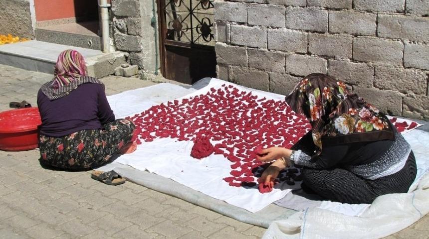 Hisarcık’ta kızılcık meyvesinden ’doktor çorbası’