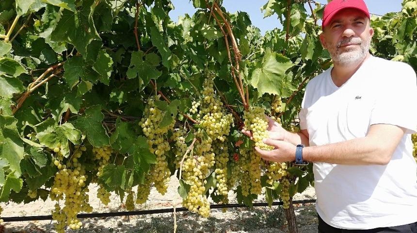 Ziraat Odası Başkanı Cem Yalva&ccedil;: &ldquo;A&ccedil;ığa &uuml;z&uuml;m d&ouml;kmeyelim&rdquo;