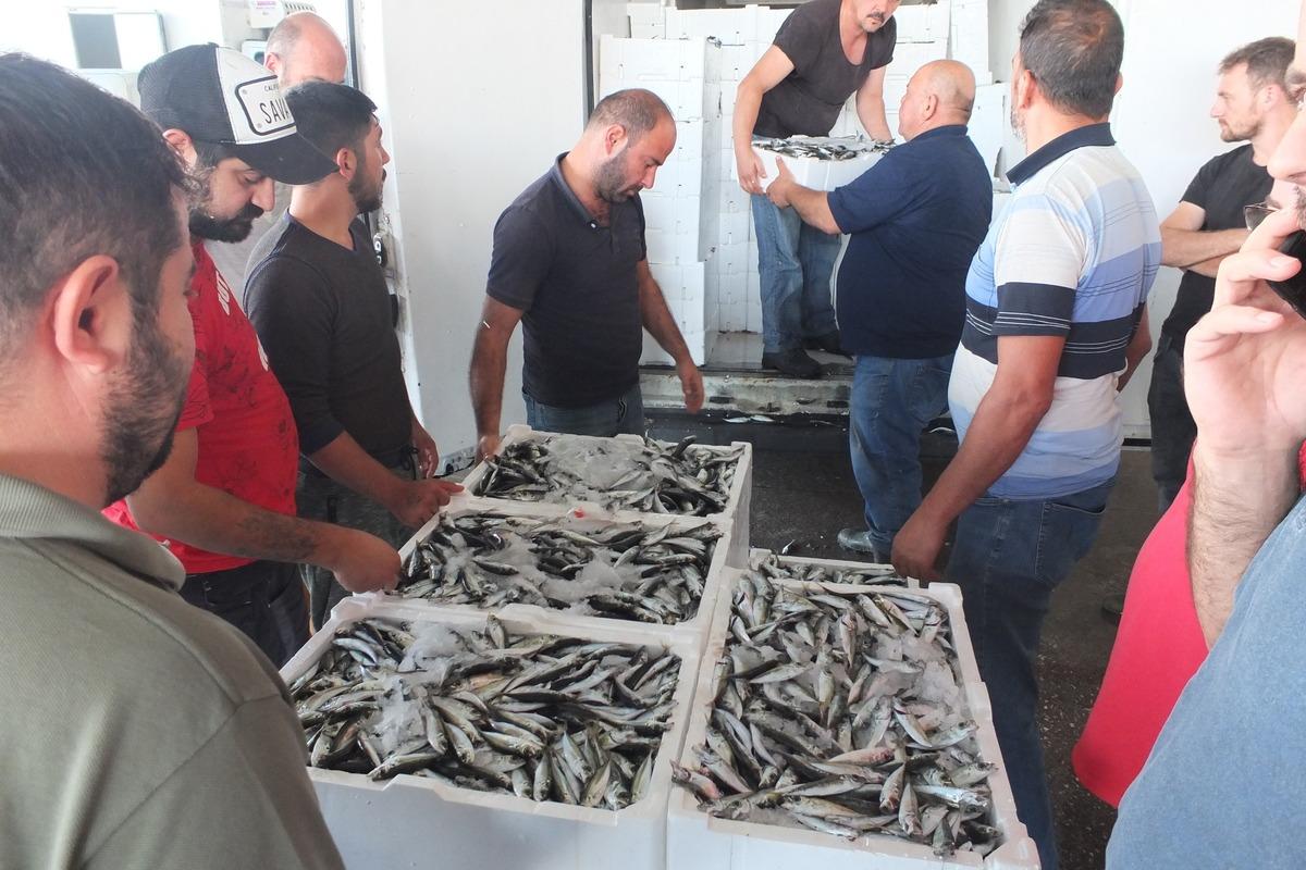 Bandırma'dan altı vilayete balık g&ouml;nderiliyor