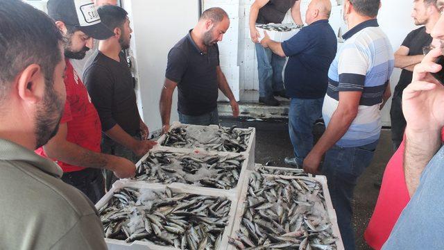 Bandırma'dan altı vilayete balık gönderiliyor