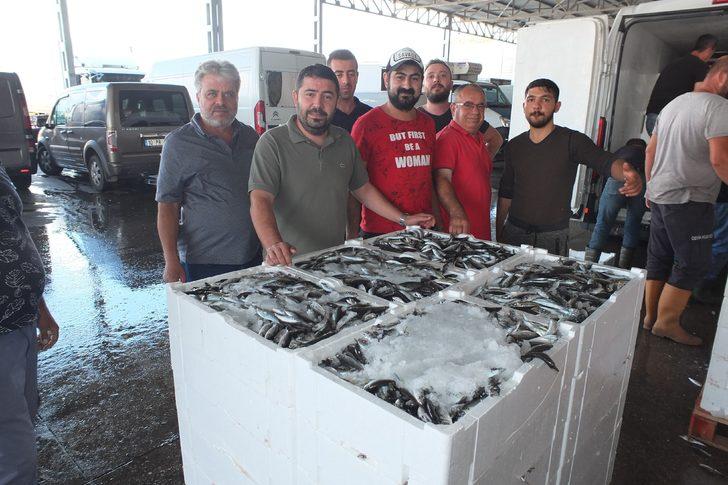 Bandırma'dan altı vilayete balık gönderiliyor G1