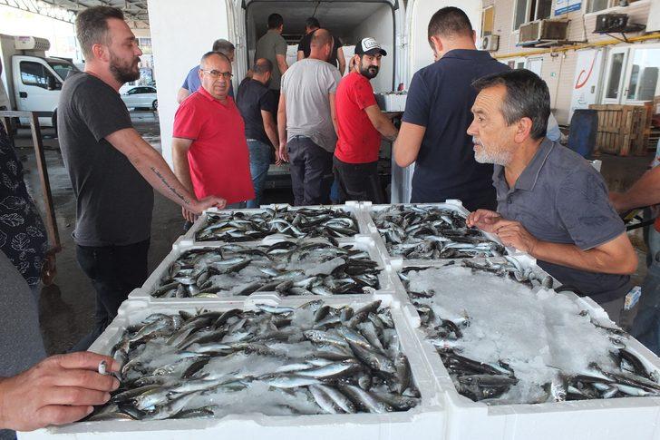 Bandırma'dan altı vilayete balık gönderiliyor G2