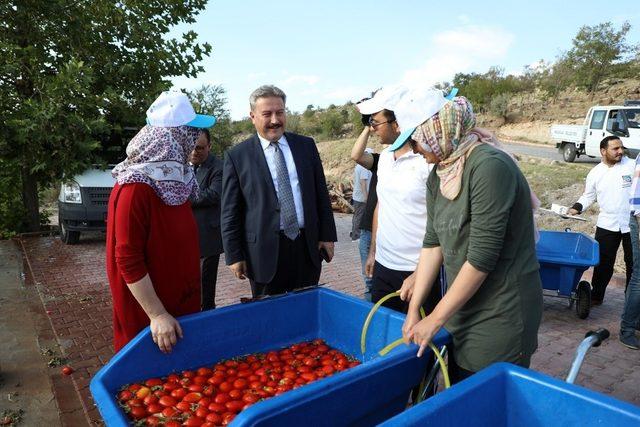 Melikgazi’den yerli ve organik üretime destek