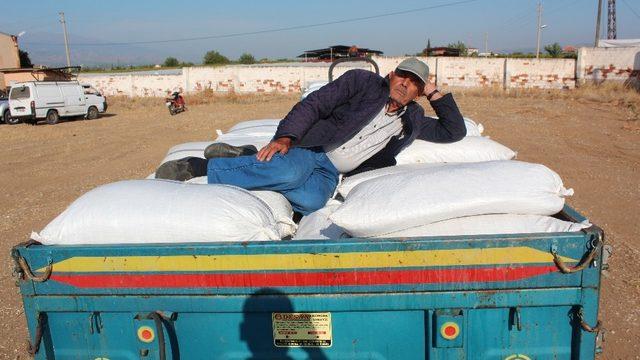 TMO kuru üzüm alımlarına başladı