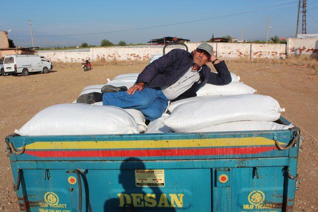 TMO &ccedil;ekirdeksiz kuru &uuml;z&uuml;m alımına başladı 1