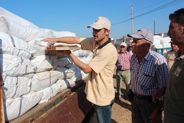 TMO &ccedil;ekirdeksiz kuru &uuml;z&uuml;m alımına başladı 3