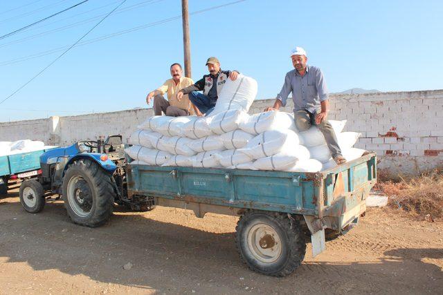 TMO &ccedil;ekirdeksiz kuru &uuml;z&uuml;m alımına başladı 4