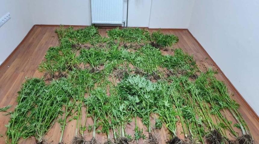 Bitlis&rsquo;ta uyuşturucu operasyonu