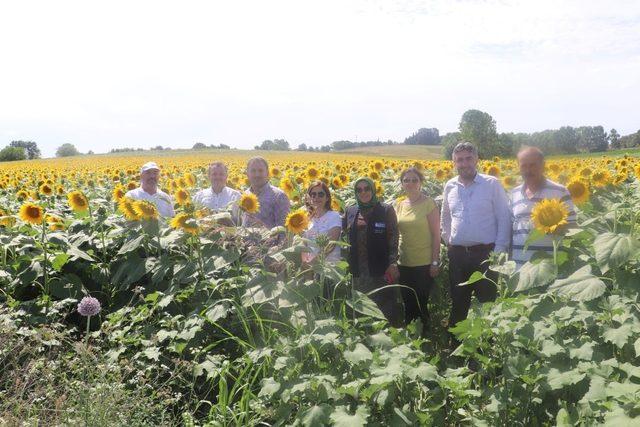 Y&uuml;zde 50 hibeli tohum desteği i&ccedil;in talep alımları başladı 1