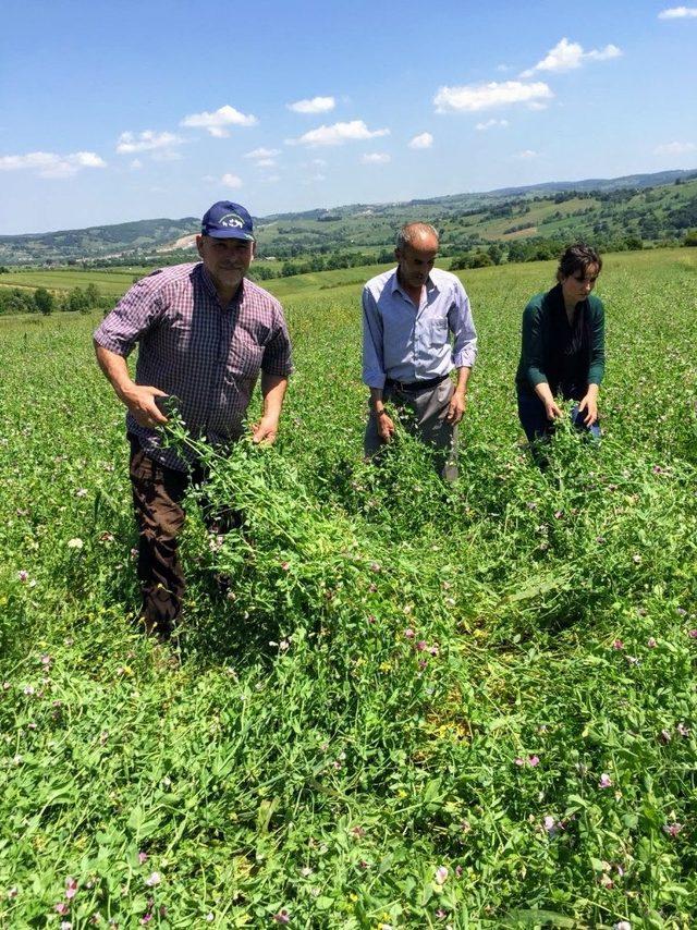 Y&uuml;zde 50 hibeli tohum desteği i&ccedil;in talep alımları başladı 3