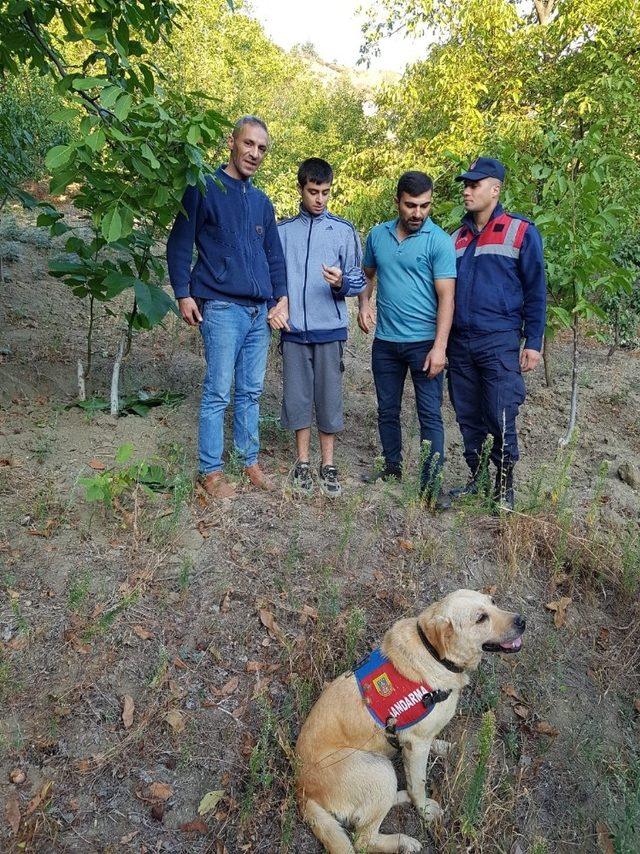 Kayıp genç ormanlık alanda bulundu