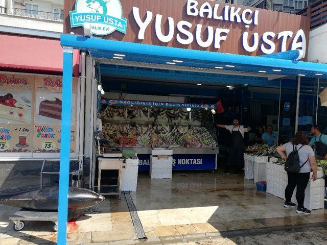 240 kiloluk Orkinos, Aydın’da ilgi odağı oldu