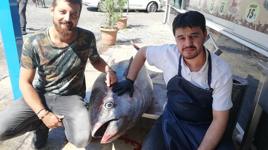 240 kiloluk Orkinos, Aydın’da ilgi odağı oldu