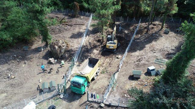 Ordu’da sokak hayvanlarına doğal barınak