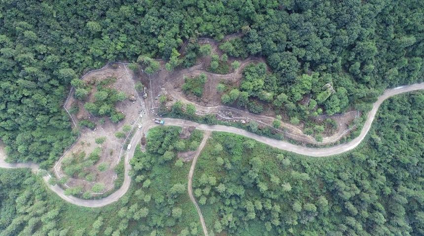 Ordu&rsquo;da sokak hayvanlarına doğal barınak
