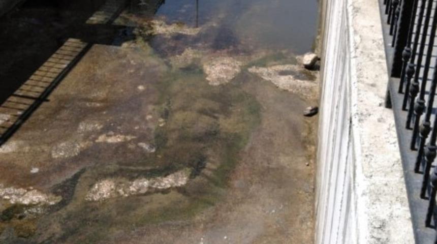 B&uuml;y&uuml;kşehir&rsquo;den Balıklara yol