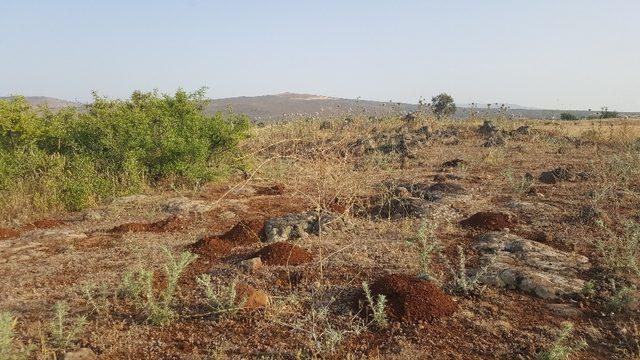 BEÜ bilimsel araştırmalarına TÜBİTAK’tan destek