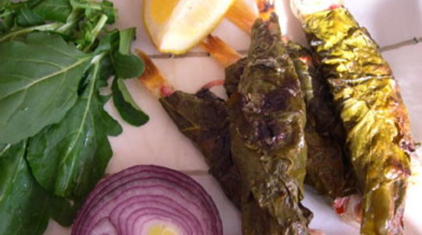 Asma Yaprağında Barbun