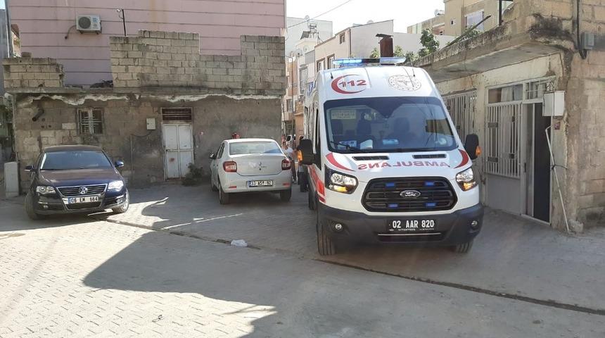 İncir ağacından d&uuml;şen kadın yaralandı