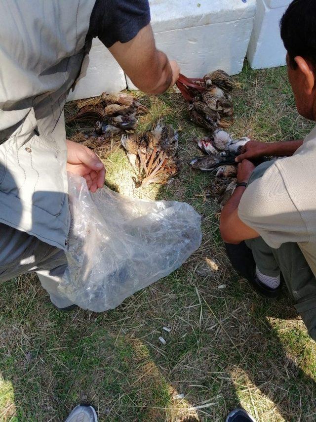 Çorum’da kaçak avcılara sıkı denetim