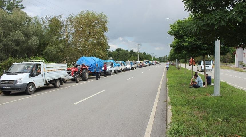 TMO alım noktasında fındık yoğunluğu