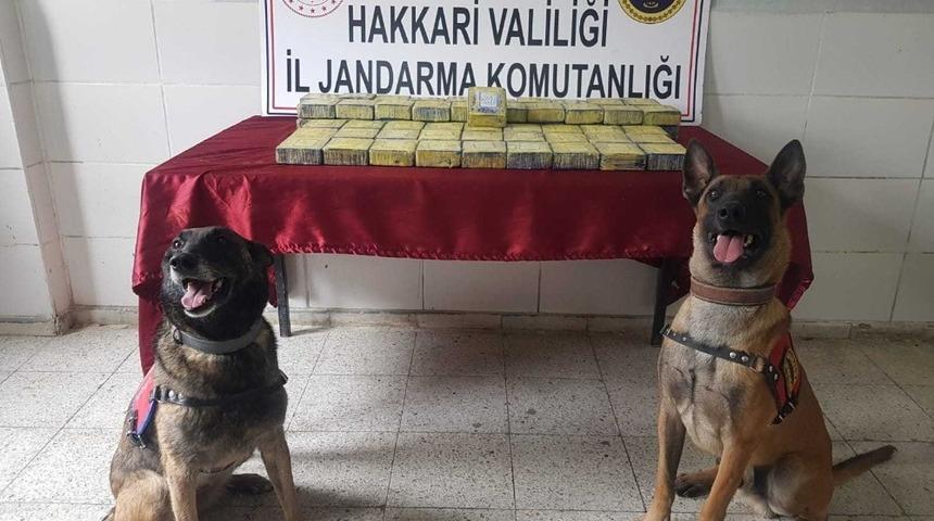 Y&uuml;ksekova&rsquo;da 34 kilo eroin ele ge&ccedil;irildi