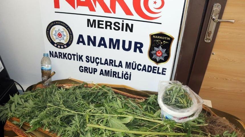 Evinde esrarla yakalandı