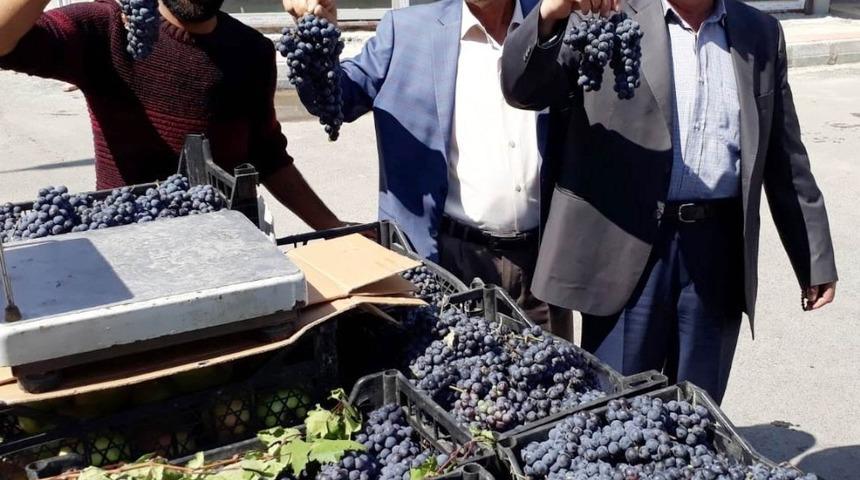 Erciş&rsquo;in 3 bin yıllık endemik &uuml;z&uuml;m&uuml; piyasaya &ccedil;ıktı