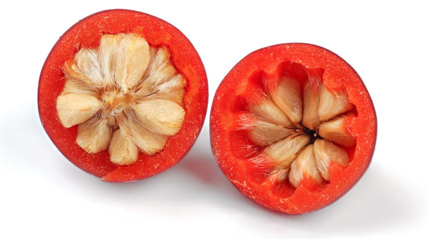 Dağlardan gelen lezzet kuşburnu geçim kaynağı oldu