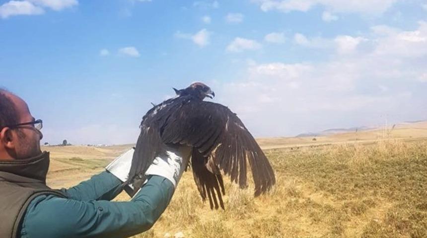 Tedavileri tamamlanan kuşlar &ouml;zg&uuml;rl&uuml;ğe kanat &ccedil;ırptı
