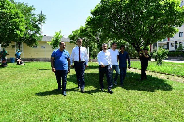 Başkan Çınar, fidanlık alanında incelemelerde bulundu