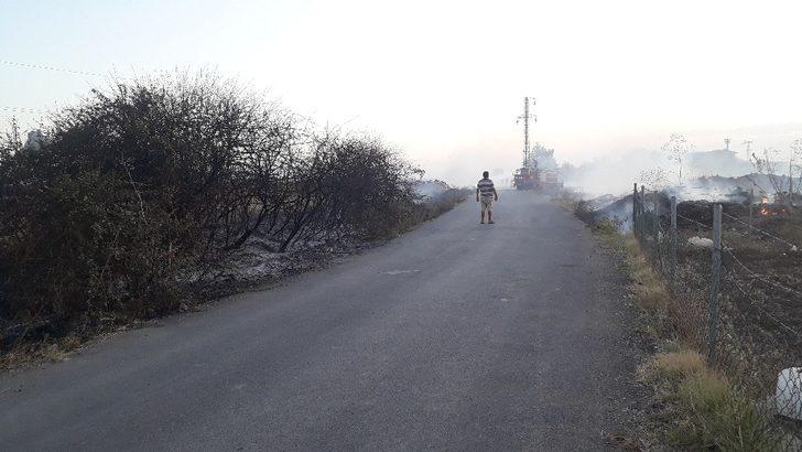 Sigara izmariti otluk alanı yaktı G1