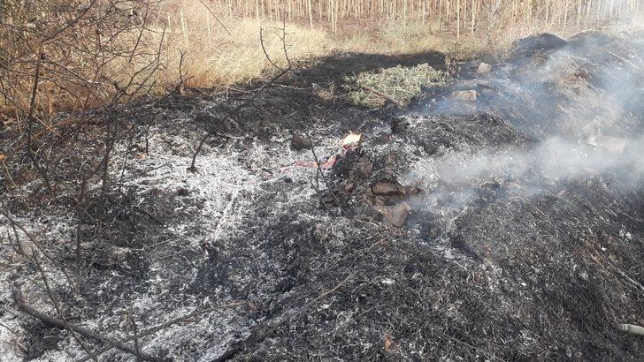 Sigara izmariti otluk alanı yaktı G2