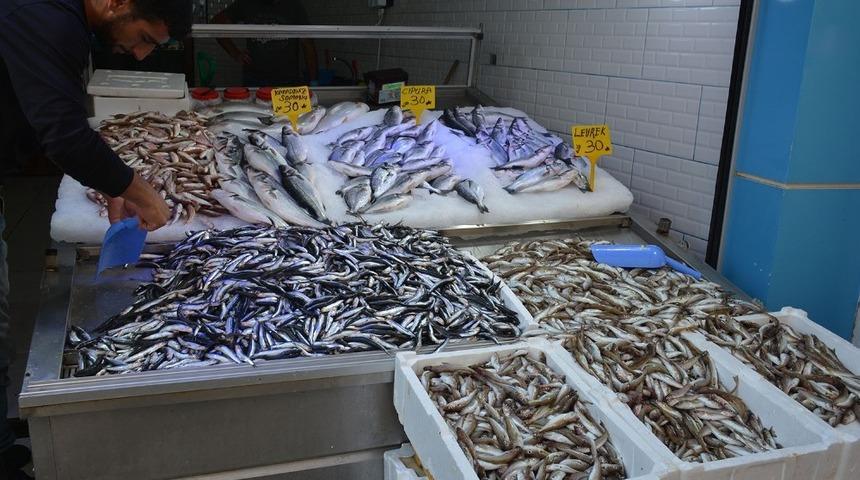 Balık&ccedil;ı esnafı satışlardan memnun değil