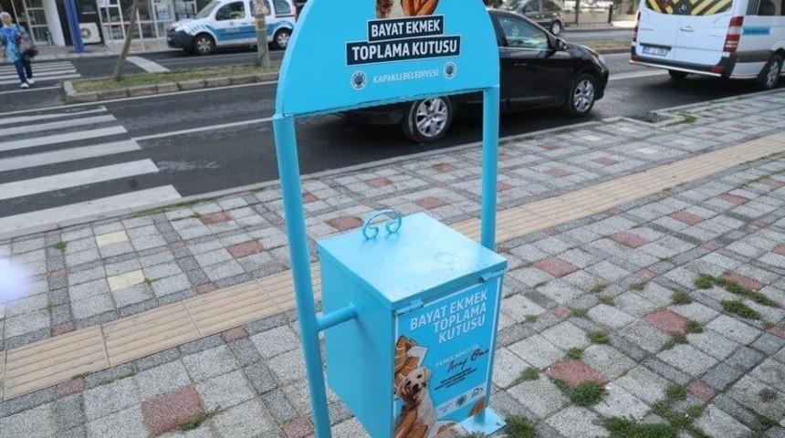 Belediyeden sokak hayvanları için anlamlı proje