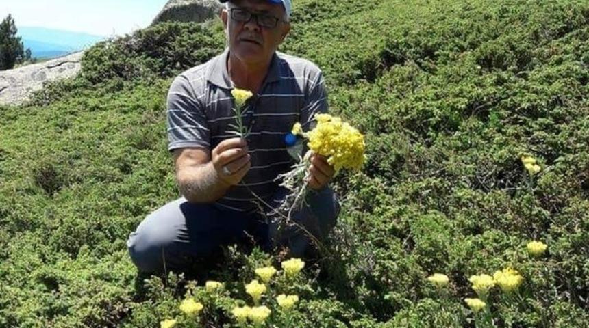 Bu ot yılda sadece bir ay yetişiyor