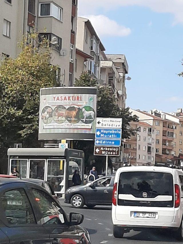 Bu hayvanların &uuml;lkeye girişi, satışı ve sahiplenilmesi yasak 1