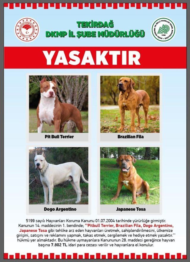 Bu hayvanların &uuml;lkeye girişi, satışı ve sahiplenilmesi yasak 2