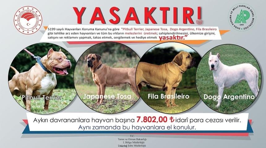 Bu hayvanların &uuml;lkeye girişi, satışı ve sahiplenilmesi yasak