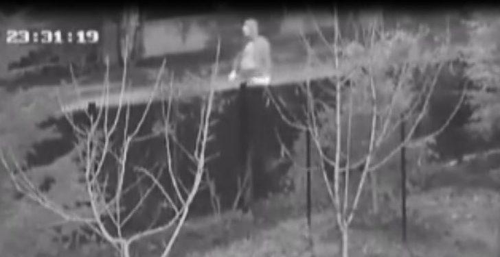 Ankara'da kedi ve köpekleri zehirleyen doktorun cezası belli oldu G3