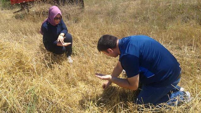 Bilecik’te anız yangınları için bilgilendirme toplantısı yapıldı