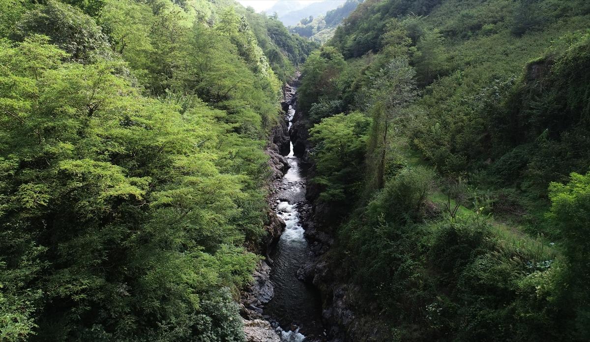 G&ouml;renleri hayran bırakan kanyon: K&uuml;pkaya