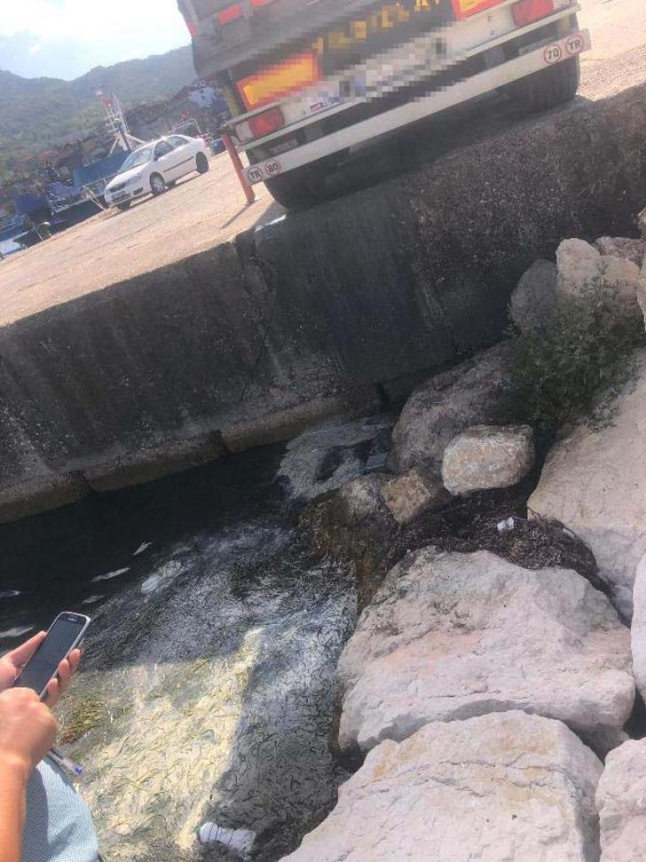 Denize kamyonla atık boşaltırken yakalandı G1