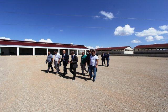 Vali Epcim ve Başkan Pekmezci belediye yatırımlarını inceledi 2