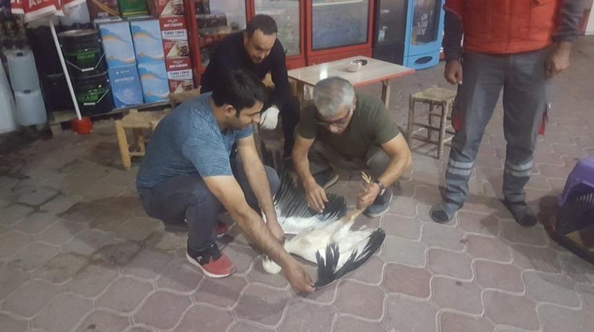Iğdır&rsquo;da arazide bulunan leylek, g&ouml;revlilere teslim edildi